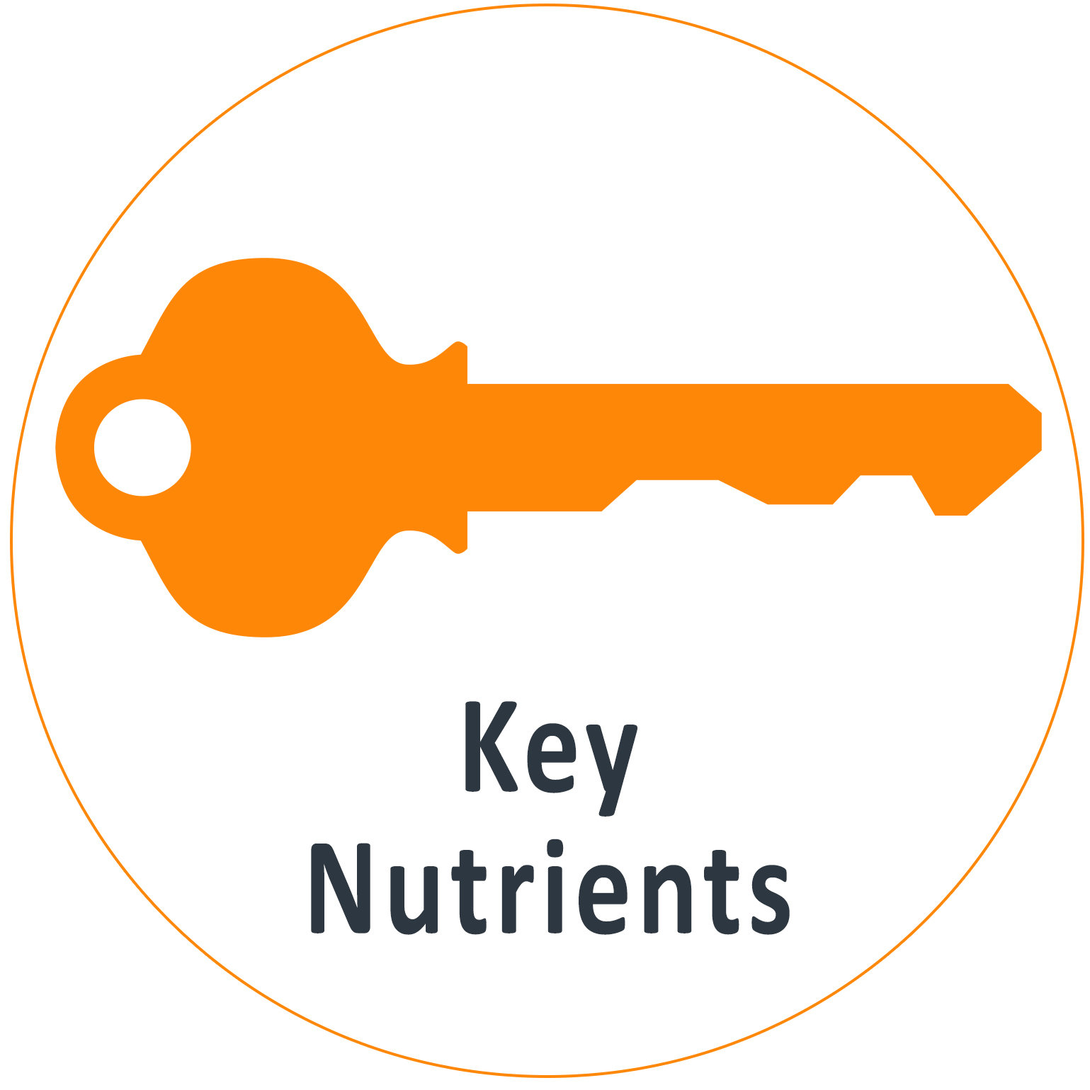 Key nutrients