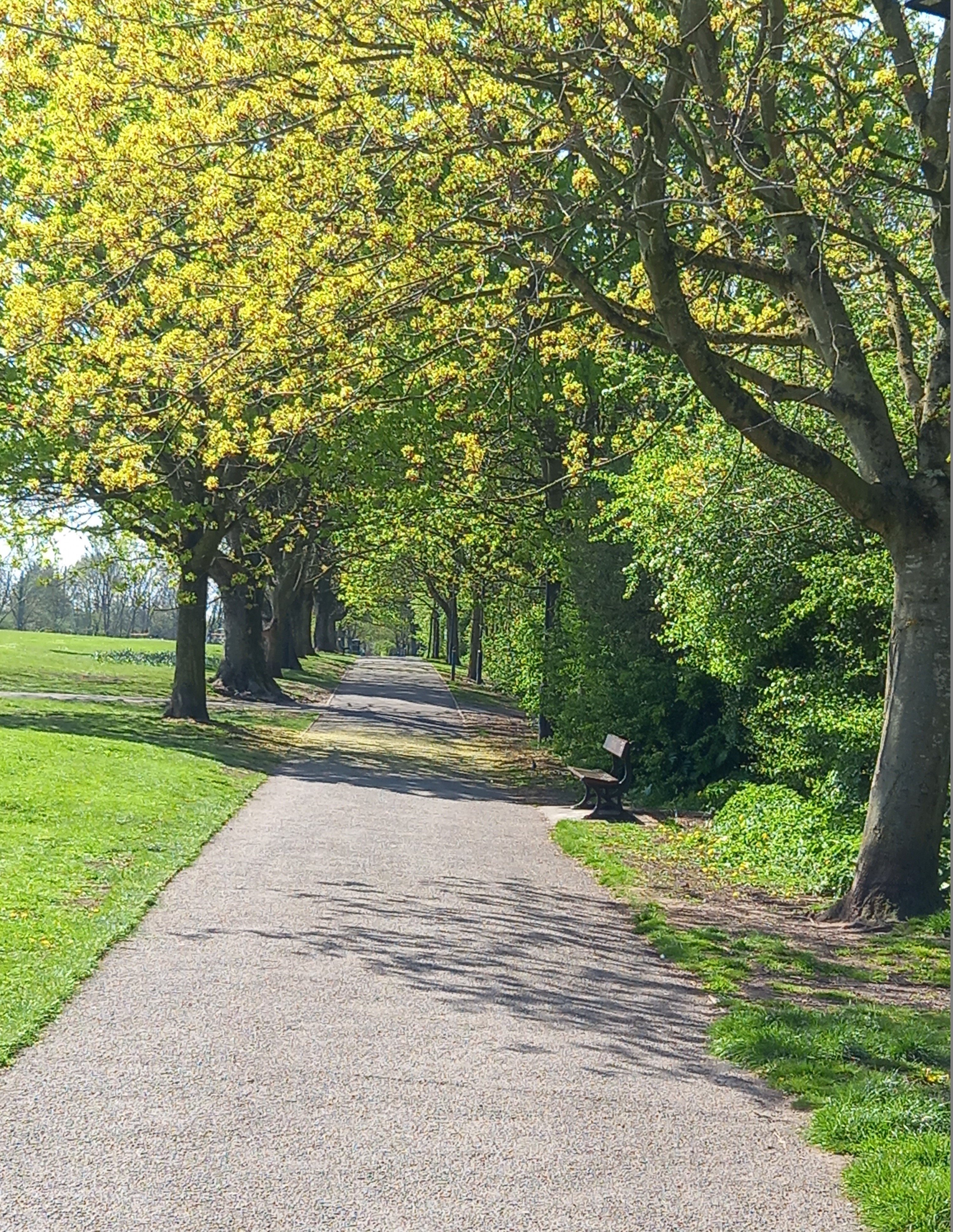 Mesnes park