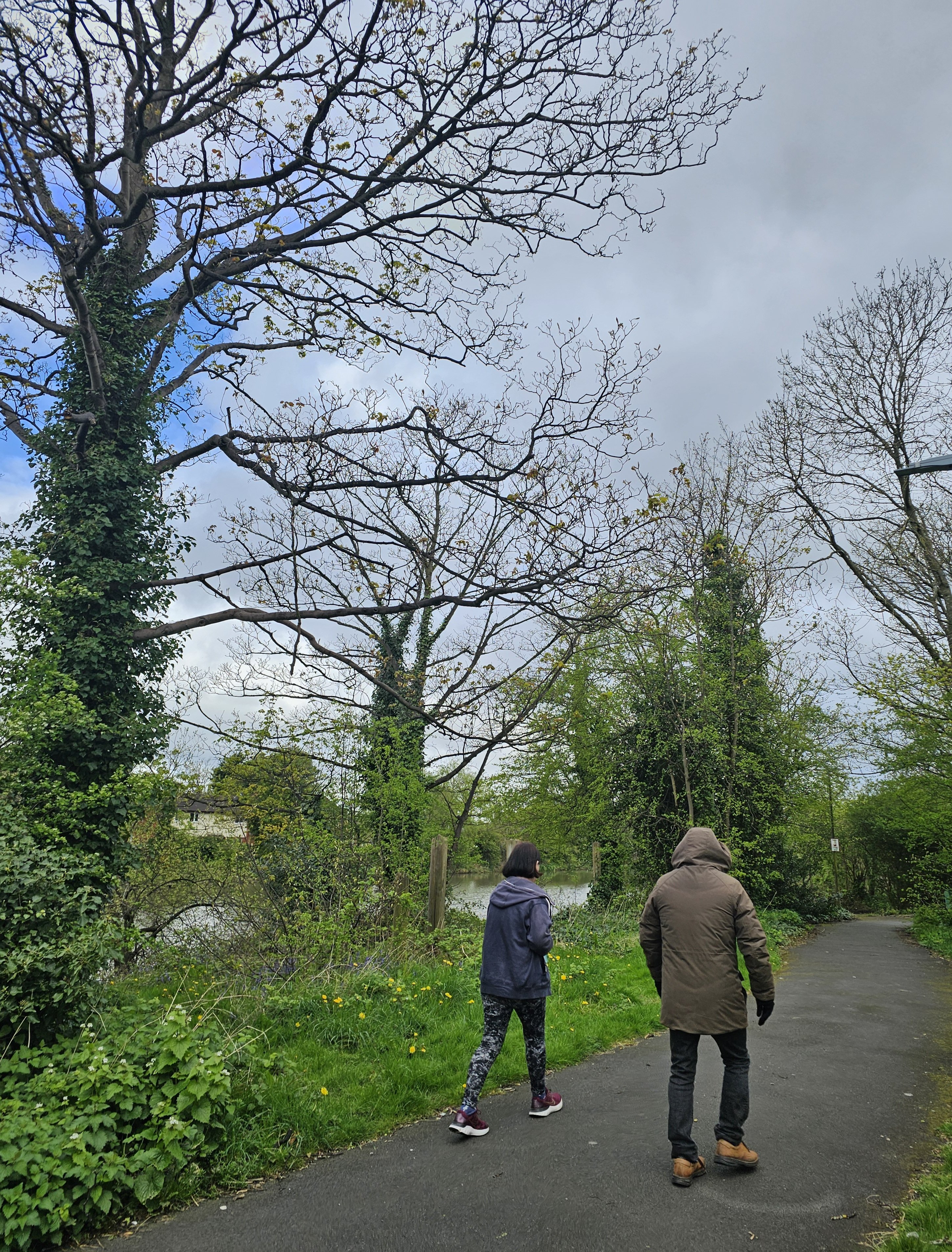 Sutton walk