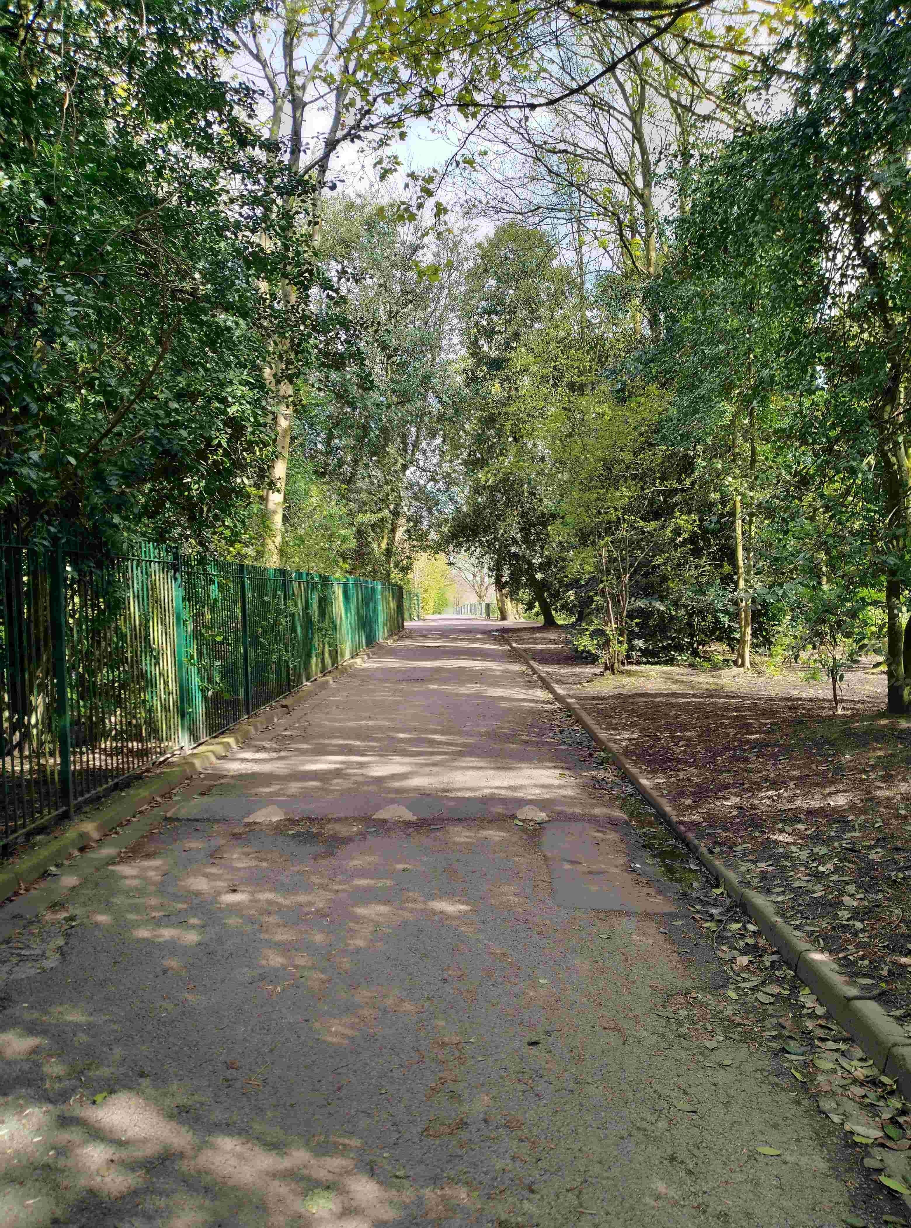S park