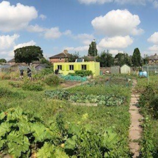 Allotment Volunteer