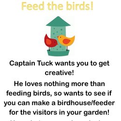 Feed the birds